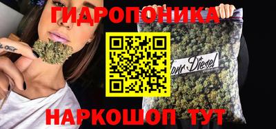 сатива Донской
