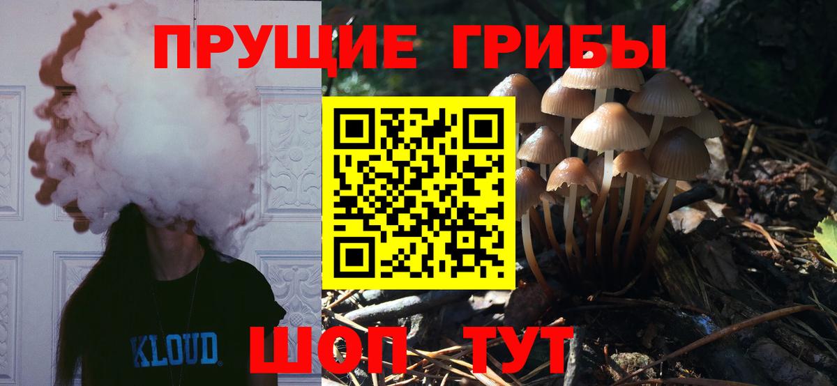 Псилоцибиновые грибы прущие грибы  Псилоцибиновые грибы мухоморы  Вход с VPN  Мирный 